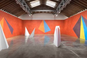 Paula Cooper Gallery 521 West 21st St contemporary art gallery in 521 West 21st Street New York United States