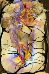 Portrait of Suhanya Raffel by Dale Frank contemporary artwork painting