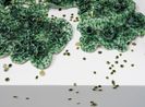 Liquen folha Leaf Lichen by Leo Battistelli contemporary artwork Sculpture