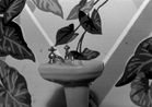 SinkIvyWallpaper by Laurie Simmons contemporary artwork Photography