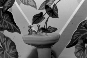 Laurie Simmons