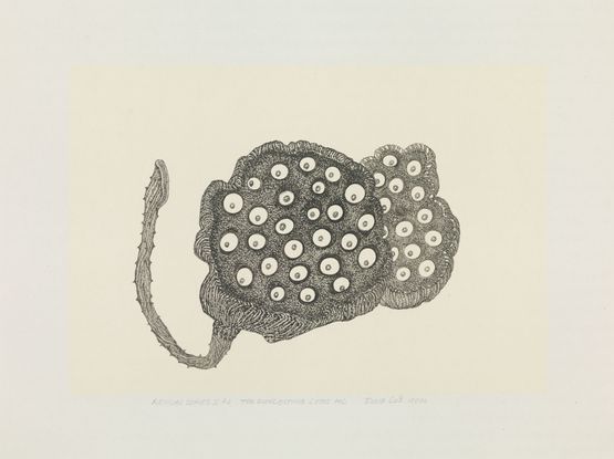 Revival Series II 2 The Everlasting Lotus Pod by Eddie Lui contemporary artwork Works on Paper