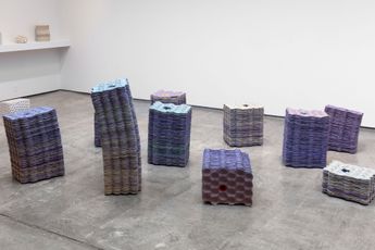 Veronica Ryan contemporary artist