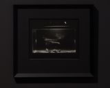 Colloid Study 1 Process Study by Joyce Campbell contemporary artwork photography