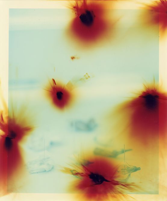 Flower Petals Pinned on the Window by Bowei Yang contemporary artwork Photography