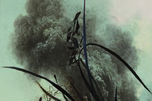 Cody Choi