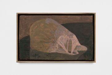 Diana Cepleanu contemporary artist