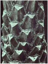 Dialogues interieurs a la peripherie XXX by Julien Segard contemporary artwork works on paper