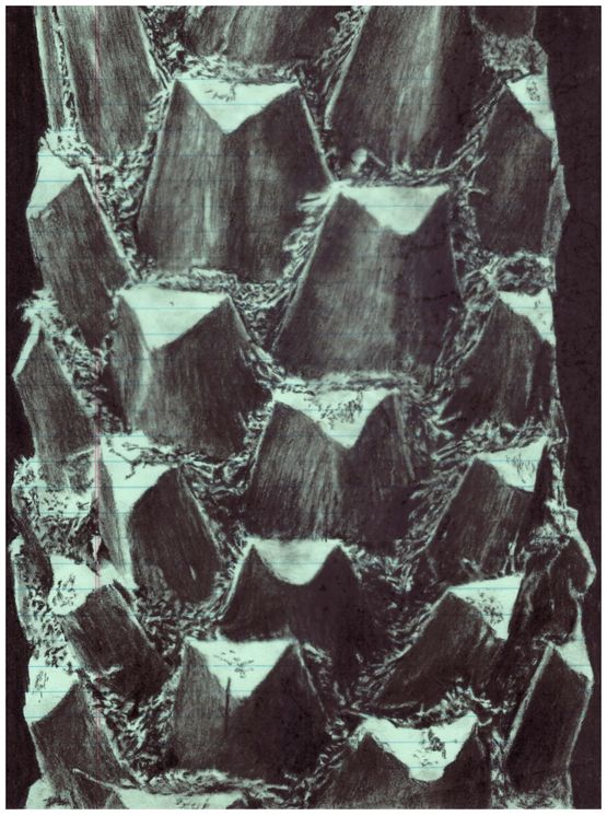 Dialogues interieurs a la peripherie XXX by Julien Segard contemporary artwork Works on Paper
