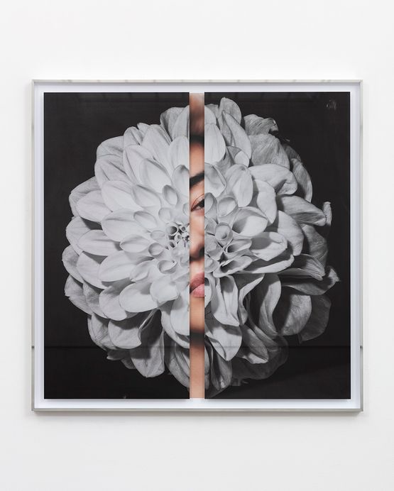 Hollywood Dahlia by Kathryn Andrews contemporary artwork Mixed Media