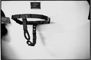 Zoe Leonard
