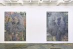 Bigger Half Raised General Assembly Pelt  Bigger Half Flat General Assembly Pelt by Hanneline Rgeberg contemporary artwork Painting