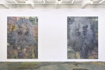 Hanneline Rgeberg contemporary artist