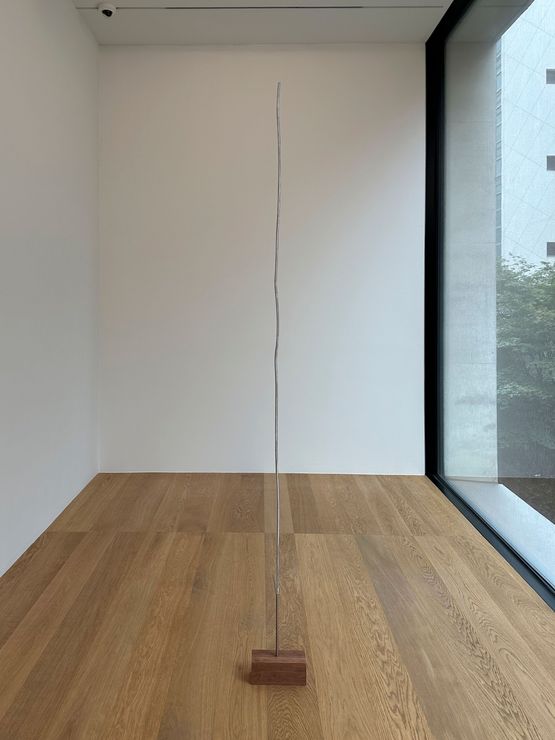 Back 716 by Inbai Kim contemporary artwork Sculpture