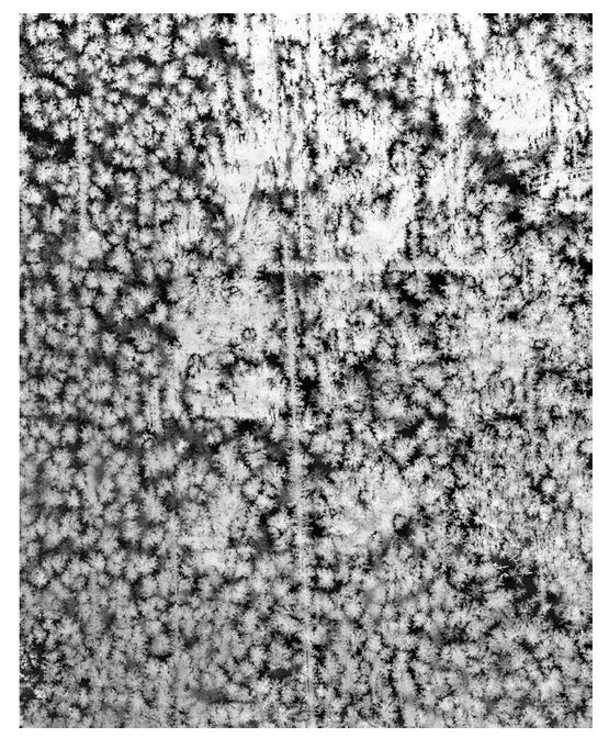 Crystals XII by Tomoko Yoneda contemporary artwork Photography