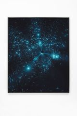 Midnight Zone - 152 Fathoms by Julian Charriere contemporary artwork print