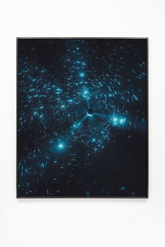 Midnight Zone - 152 Fathoms by Julian Charriere contemporary artwork Print
