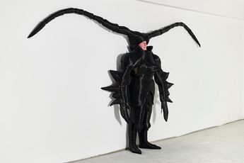 Walter Oltmann contemporary artist