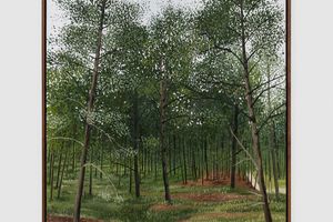 John Hodgkinson