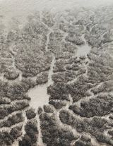 Rivers of thought I tribute to neuroscientist Santiago Ramon y Cajal by Ruben Fuentes contemporary artwork painting works on paper drawing
