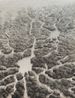 Rivers of thought I tribute to neuroscientist Santiago Ramon y Cajal by Ruben Fuentes contemporary artwork Painting