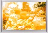 As I lay back on my Ancestral Land by Tracey Moffatt contemporary artwork painting