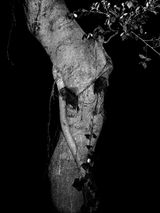 Nocturnal 06 by Rusty Fox contemporary artwork print