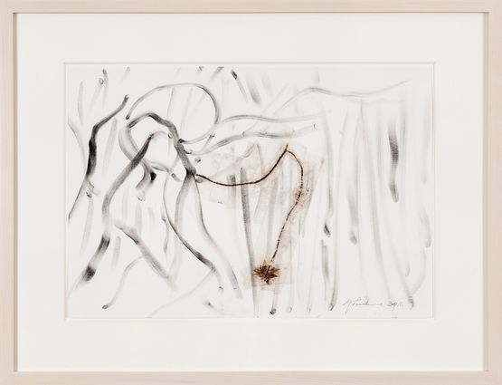 Foglie by Giuseppe Penone contemporary artwork Works on Paper