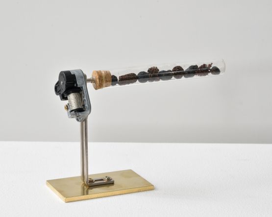 Revolution  Gravity Plants by Yukio Fujimoto contemporary artwork Sculpture