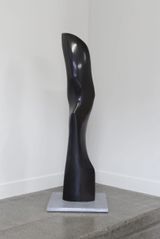 Raven by Tanya Ashken contemporary artwork sculpture