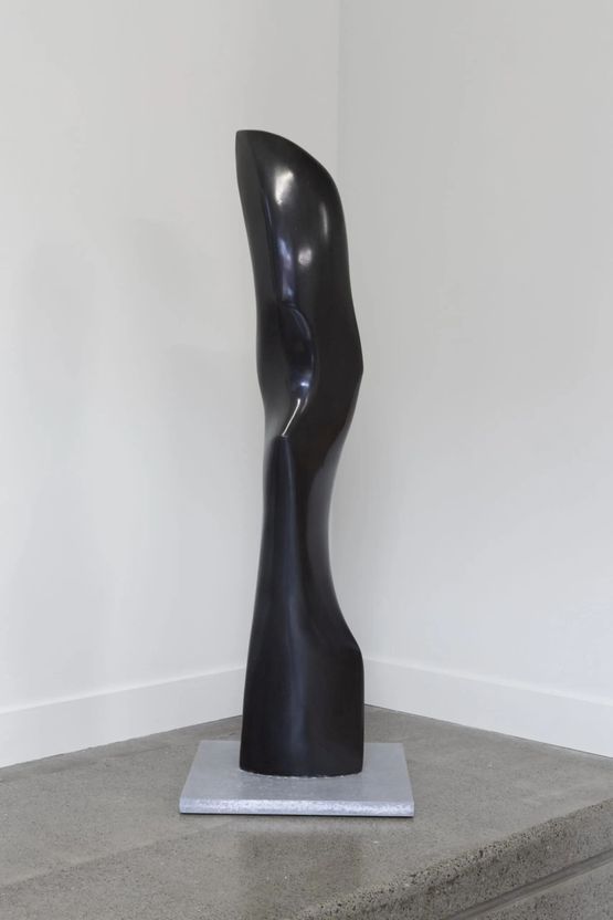 Raven by Tanya Ashken contemporary artwork Sculpture