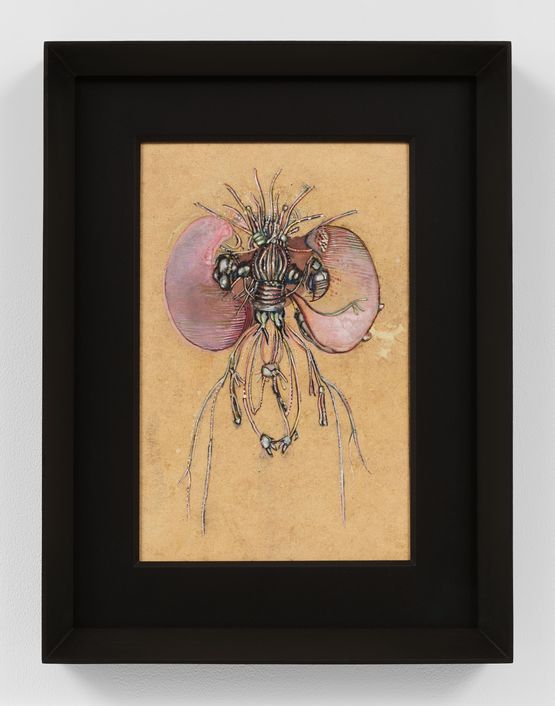 PLXPsac by Roberto Cuoghi contemporary artwork Works on Paper