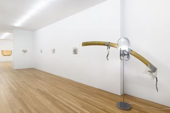 Contemporary art exhibition Group Exhibition Critical Melancholia at Galerie Buchholz New York United States
