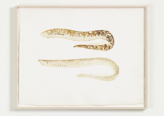 Watery Ecstatic by Ellen Gallagher contemporary artwork Works on Paper