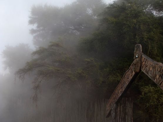 A Hundred Years Gateway by Gavin Hipkins contemporary artwork Photography