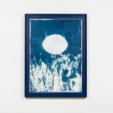 Sun field - plant community Wheat V by Tue Greenfort contemporary artwork works on paper