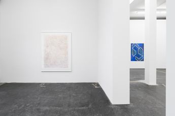 Contemporary art exhibition Iulia Nistor The Revenge of the Given at Galeria Plan B Berlin Germany