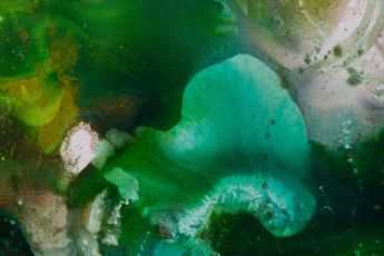Mary Weatherford contemporary artist