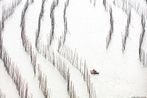 Fujian 15 - Curves Coastal Geometries China by Tugo Cheng contemporary artwork Photography
