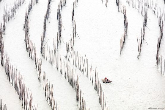 Fujian 15 - Curves Coastal Geometries China by Tugo Cheng contemporary artwork Photography