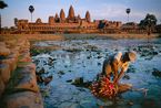 Lotus Gatherer Cambodia by Steve Mccurry contemporary artwork Print