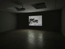 Fly by James Coleman contemporary artwork Moving Image