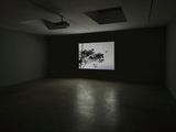 Fly by James Coleman contemporary artwork moving image