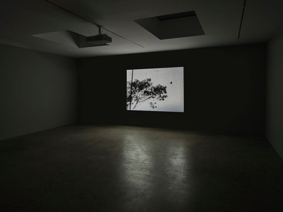 Fly by James Coleman contemporary artwork Moving Image