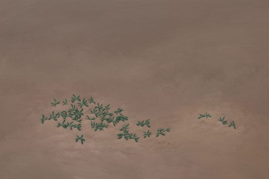 Wild Vegetables in the Wind No. 5 by Yan Bing contemporary artwork Painting
