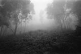 Sunlight by Sathish Kumar contemporary artwork print works on paper