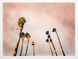 Hot Panorama III by Francesca Gabbiani contemporary artwork painting