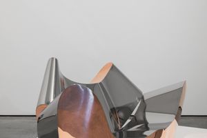 Ron Arad
