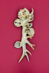Sandha Mukhi Ogress Breast by Soe Yu Nwe contemporary artwork sculpture