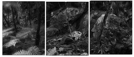 14.5.1995. Cascade Cove Tauwhare Rock shelter and Midden excavation. Tamatea-Dusky Sound by Mark Adams contemporary artwork Photography